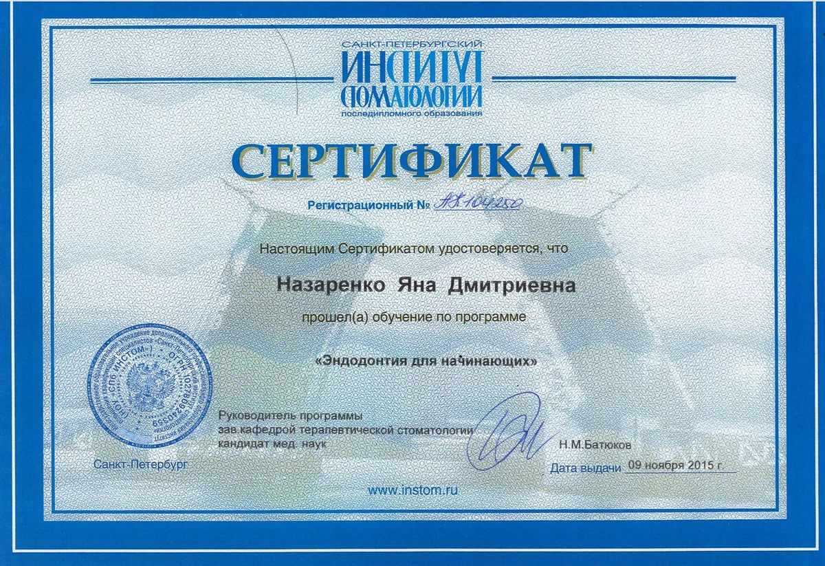 2015 Эндодонтия для начинающих