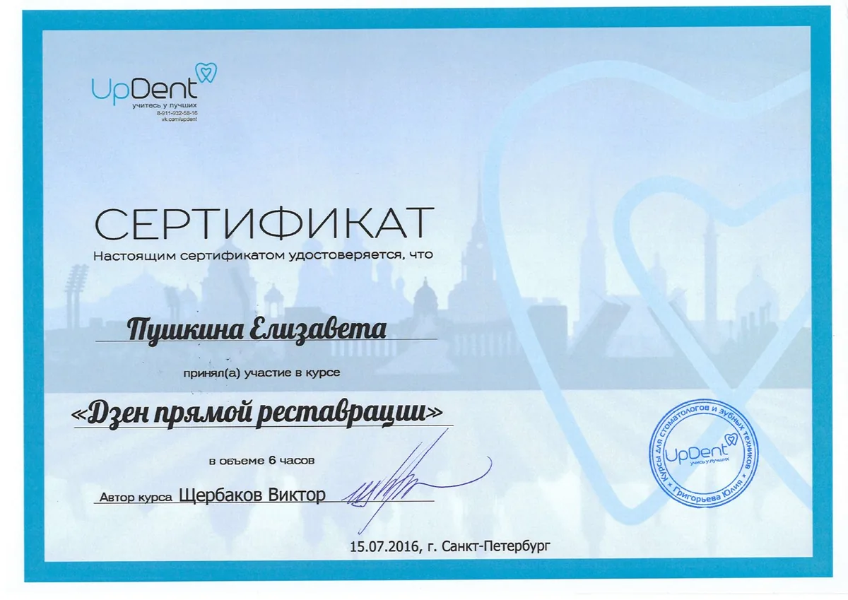 2016 Дзен прямой реставрации