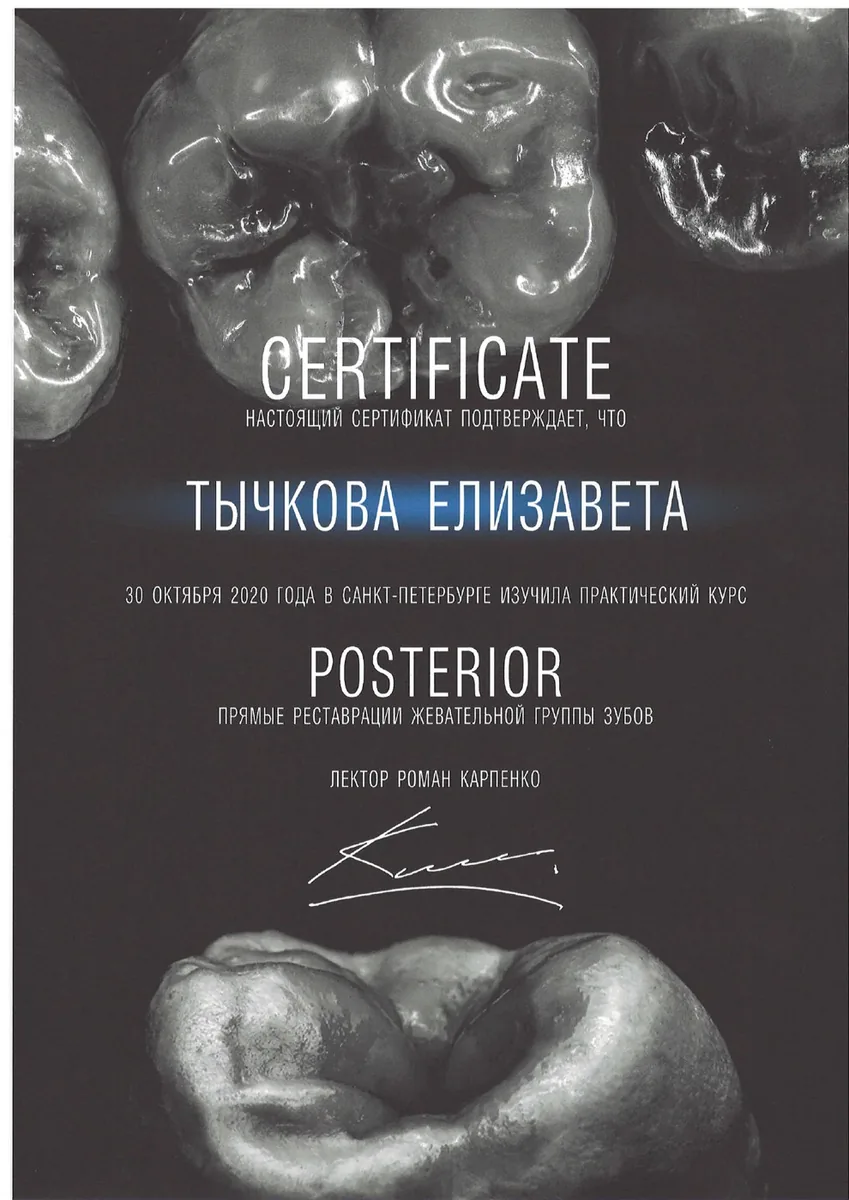 2020 Posterior. Прямые реставрации жевательной группы зубов