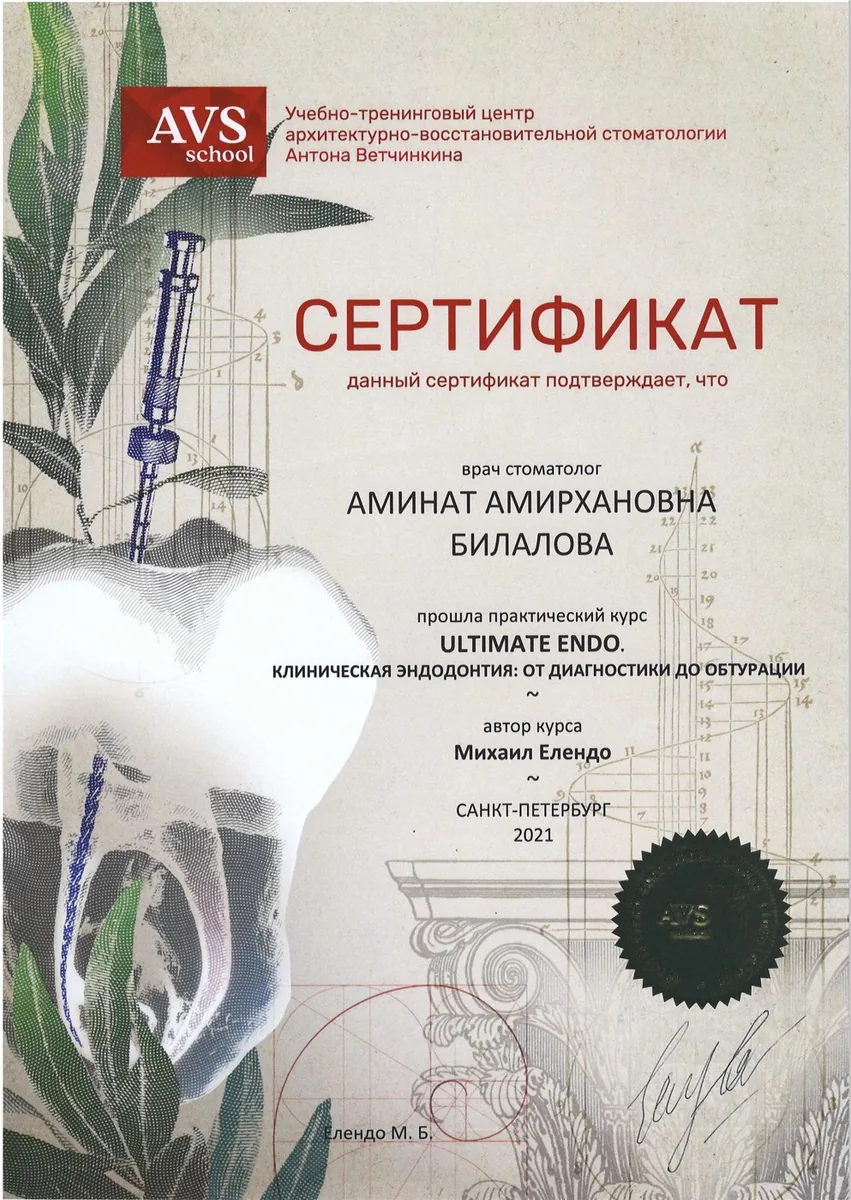 2021 AVSschool клиническая эндодонтия.От диагностики до обтурации