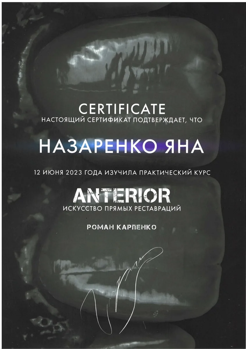 2023 ANTERIOR искусство прямых реставраций