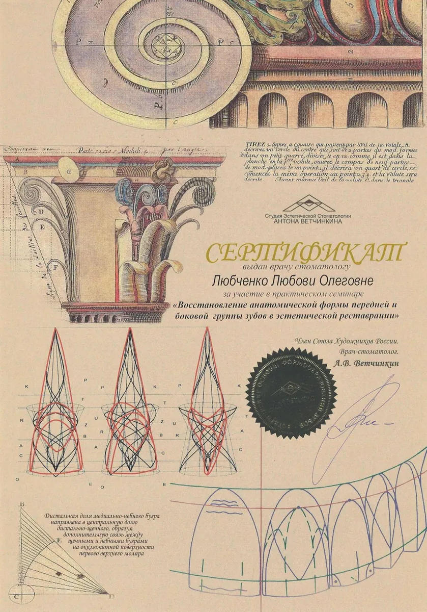 2025 Восстановление анатомической формы передней и боковой группы зубов в эстетической реставрации