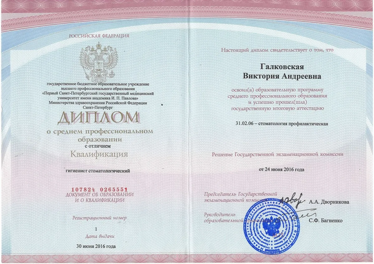 Диплом профилактика 1